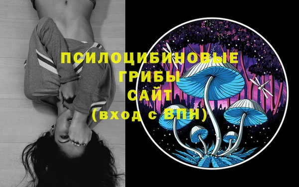 марки nbome Алексеевка
