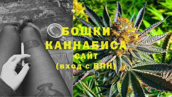 СК Абинск