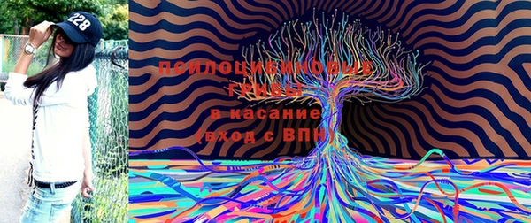 марки nbome Абаза